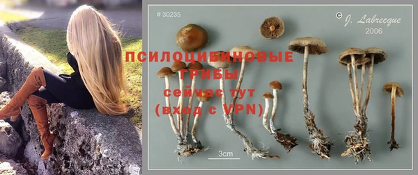 ПСИЛОЦИБИНОВЫЕ ГРИБЫ Абинск