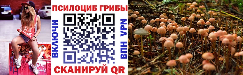 Галлюциногенные грибы Psilocybe MEGA ссылки Красково